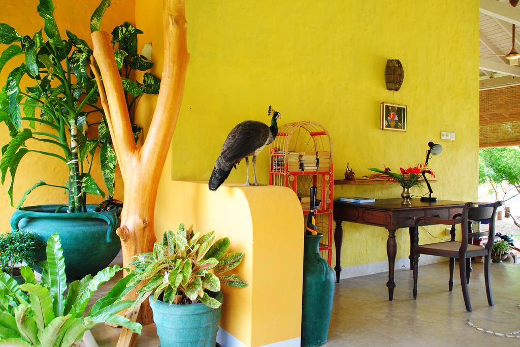 Khomba Beach House Alankuda Exterior photo
