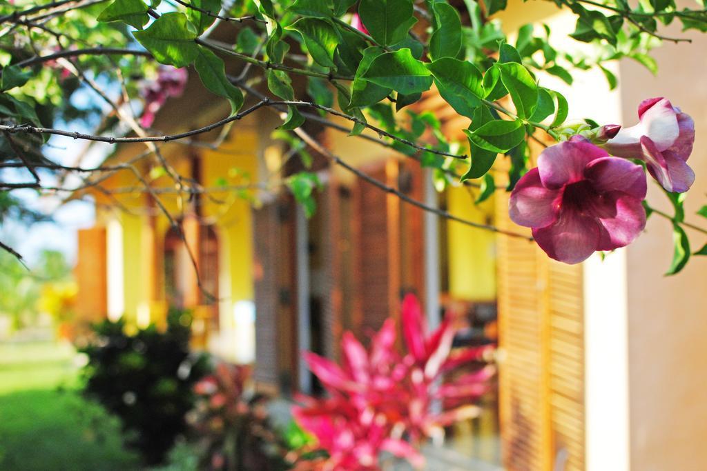 Khomba Beach House Alankuda Exterior photo