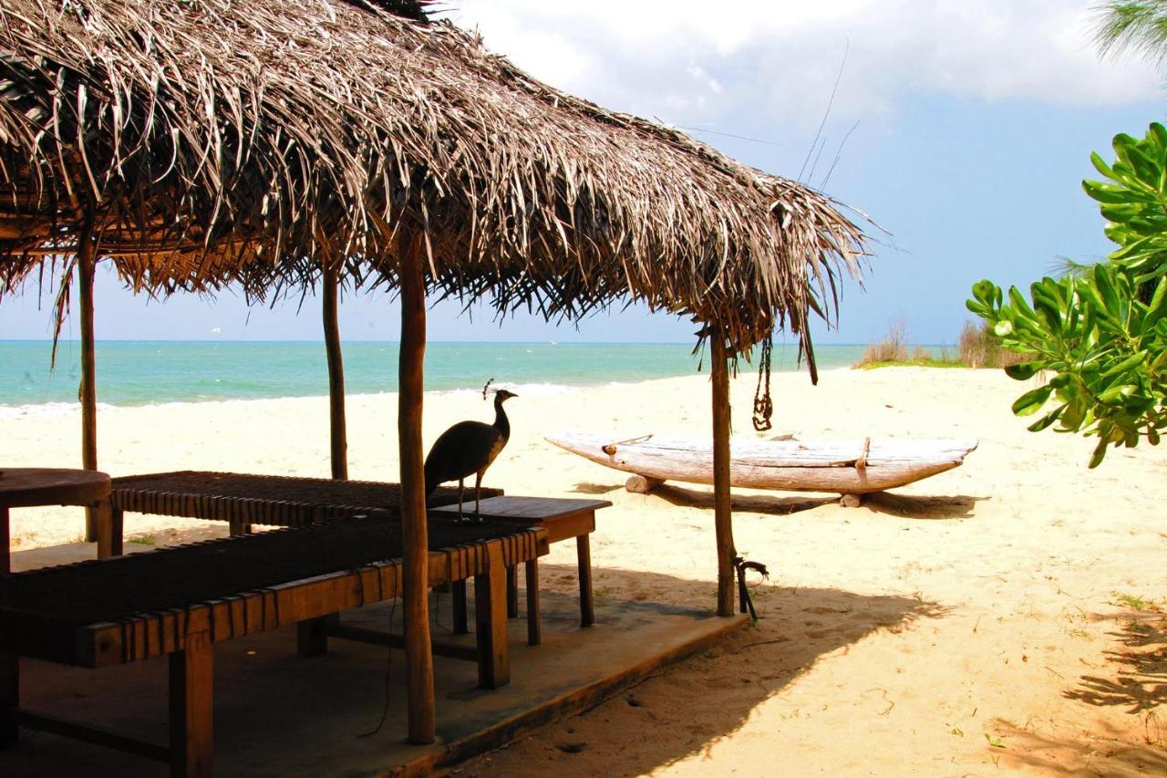 Khomba Beach House Alankuda Exterior photo
